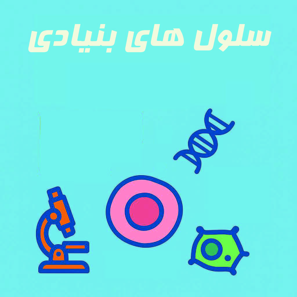 سلول های بنیادی ابتدایی